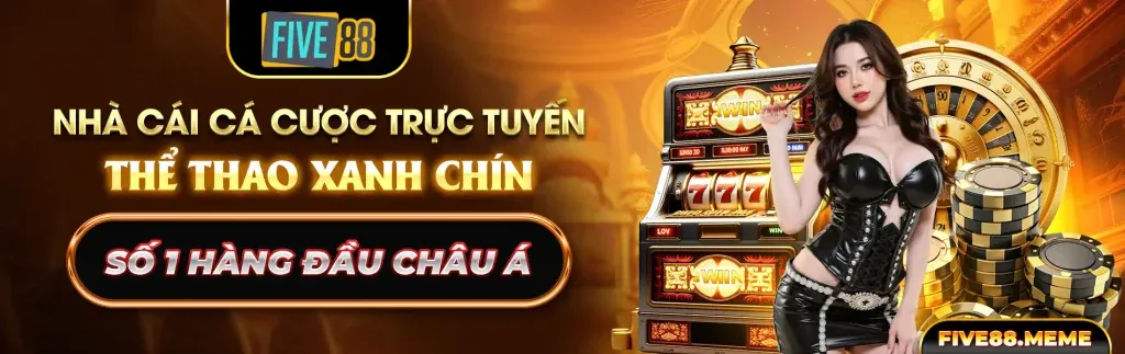 Các phương thức gửi và rút tiền tại thenyic