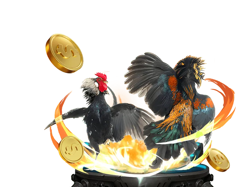 Giao diện đặt cược đá gà trực tuyến tại casino thenyic