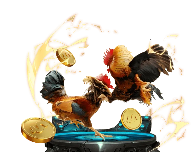 Chương trình VIP thenyic